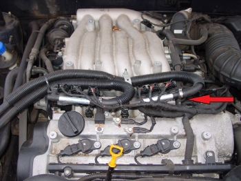 Injector Rails