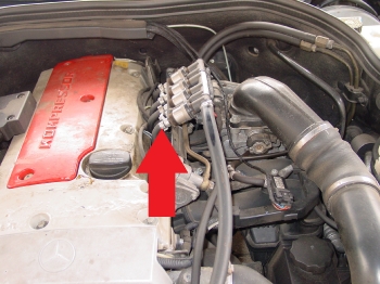 DSC01629 Injector Rails