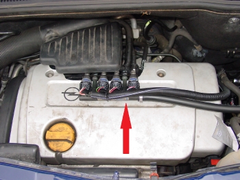 DSC01636Injector Rails