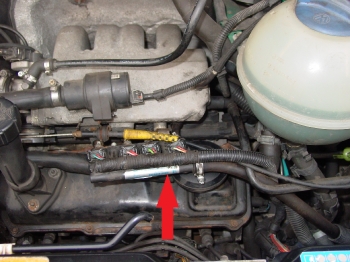 DSC01640Injector Rails
